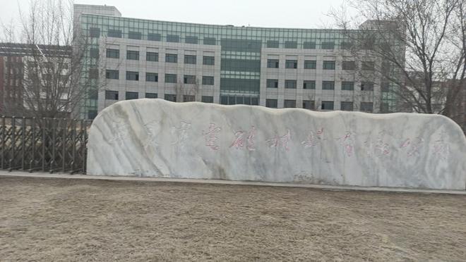 從硅材料工廠到尋常商品 拍賣市場(chǎng)的價(jià)格博弈與價(jià)值重塑