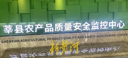 高瞰山東打卡聊城 莘縣蔬菜瓜果安全無憂，網(wǎng)絡(luò)安全軟件開發(fā)保障數(shù)字生活